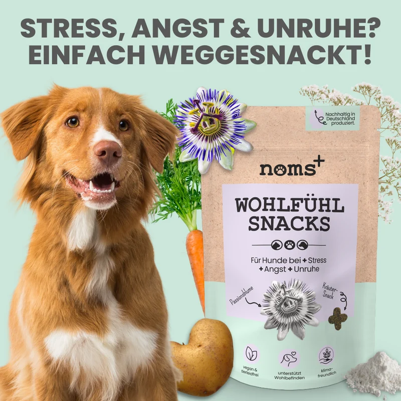 Wohlfühlsnacks für Hunde – mit Baldrian, Passionsblume & L-Tryptophan