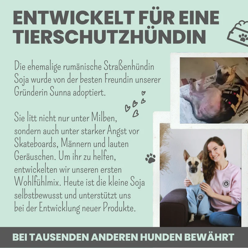 Wohlfühlsnacks für Hunde – mit Baldrian, Passionsblume & L-Tryptophan