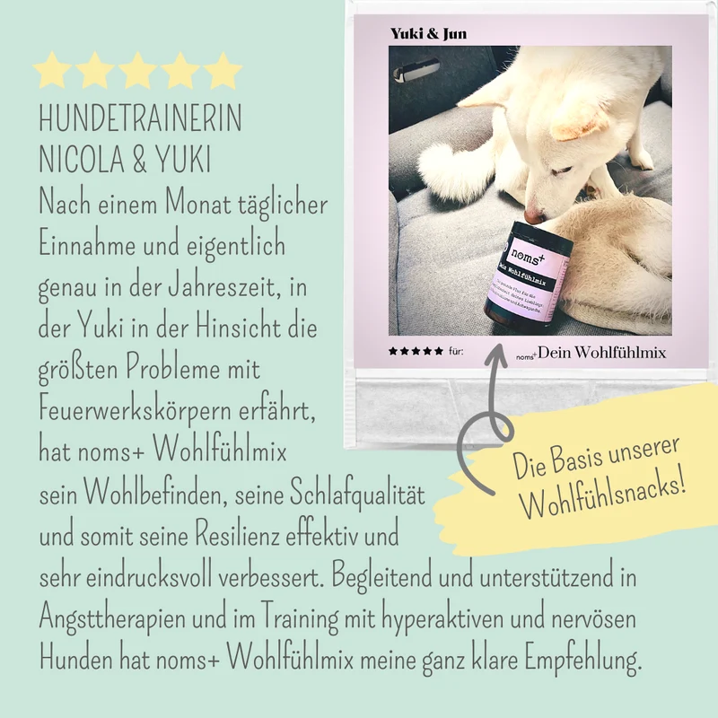 Wohlfühlsnacks für Hunde – mit Baldrian, Passionsblume & L-Tryptophan