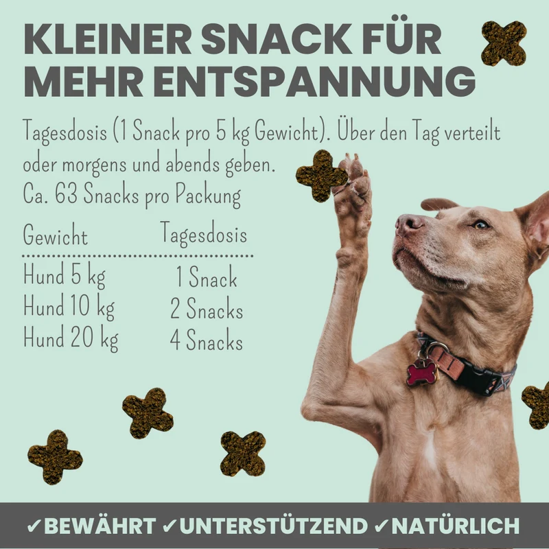 Wohlfühlsnacks für Hunde – mit Baldrian, Passionsblume & L-Tryptophan