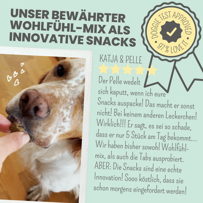 Wohlfühlsnacks für Hunde – mit Baldrian, Passionsblume & L-Tryptophan