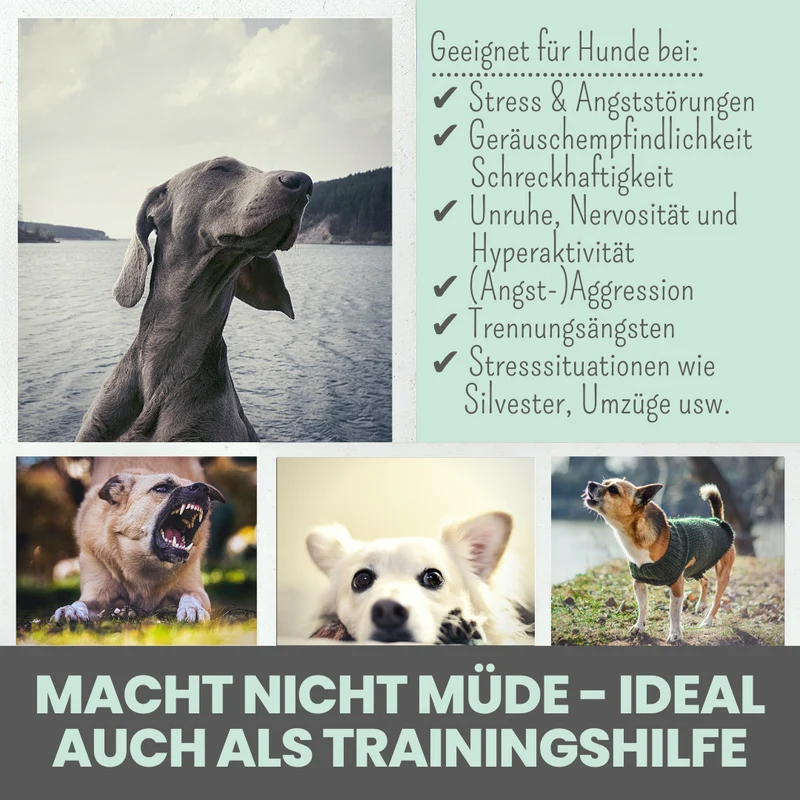 Wohlfühlsnacks für Hunde – mit Baldrian, Passionsblume & L-Tryptophan