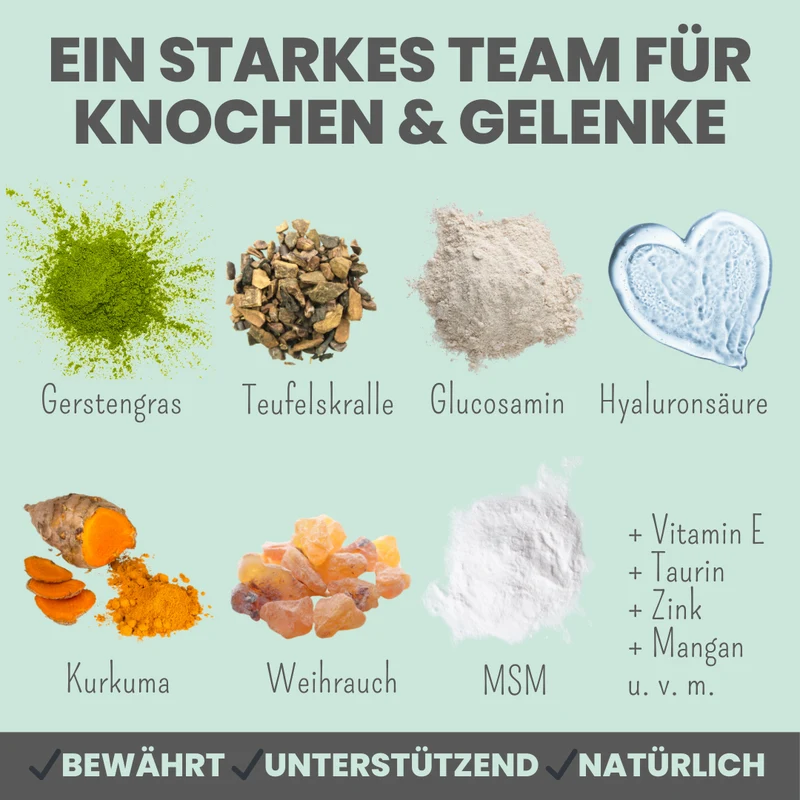 Gelenkmix Sensitiv & vegan für Hunde und Katzen mit Teufelskralle, Kurkuma & Glucosamin