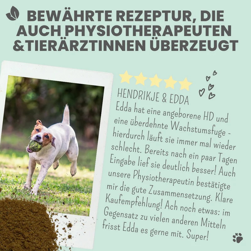 Gelenkmix Sensitiv & vegan für Hunde und Katzen mit Teufelskralle, Kurkuma & Glucosamin