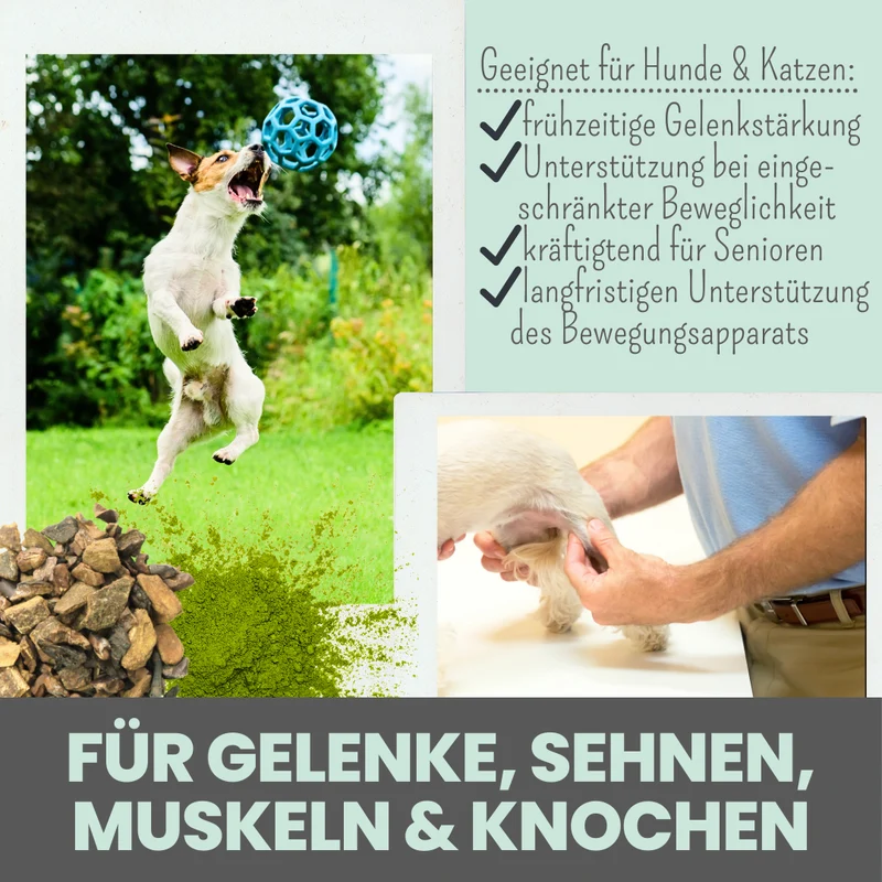 Gelenkmix Sensitiv & vegan für Hunde und Katzen mit Teufelskralle, Kurkuma & Glucosamin