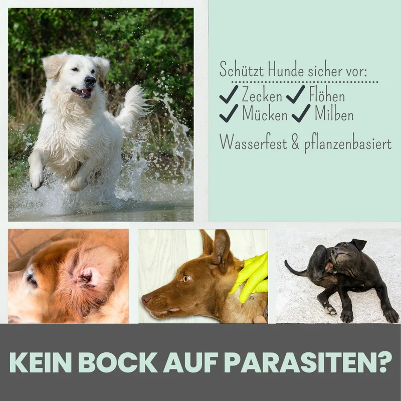Wasserfestes Zpot-on für Hunde gegen Zecken, Flöhe, Milben & Mücken [Jahresvorrat]