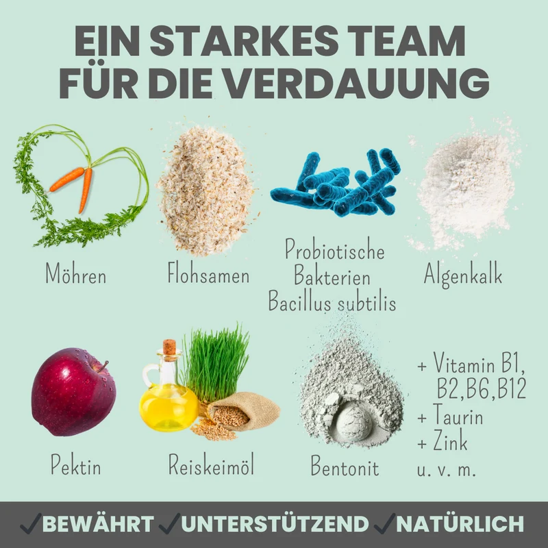 Verdauungsmix für Hunde als Probiotikum für Magen- & Darmflora