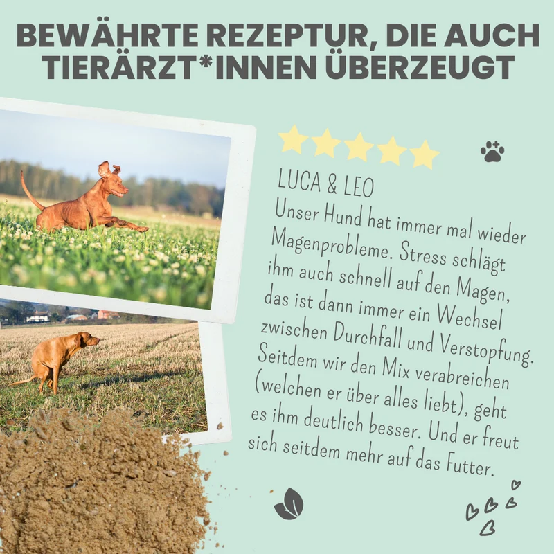 Verdauungsmix für Hunde als Probiotikum für Magen- & Darmflora