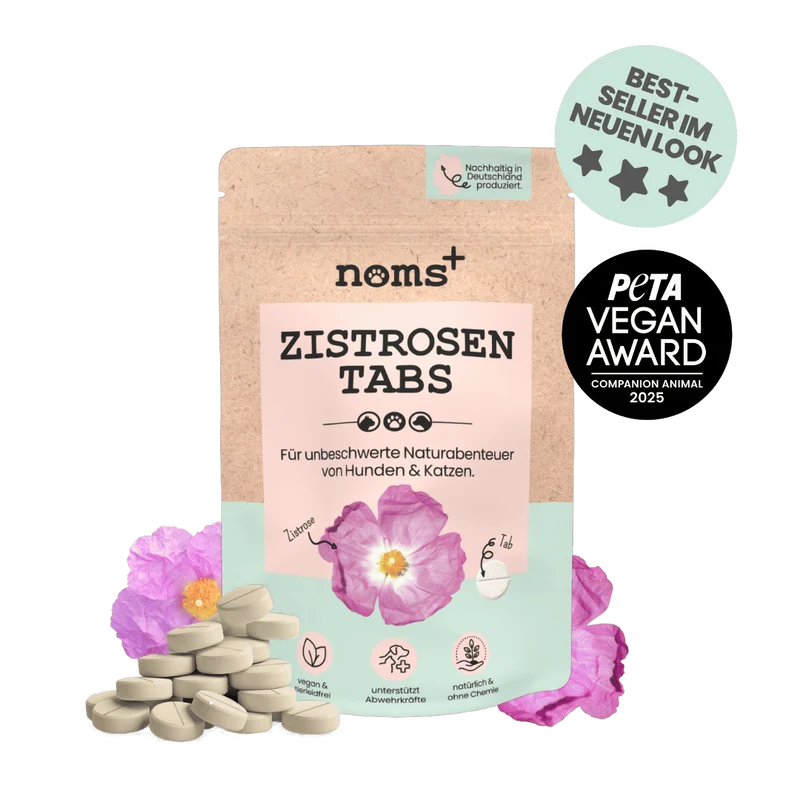 Zistrosen Tabs - 100% natürliches Zistrosen-Leckerli für Wald- & Wiesenspaziergänge
