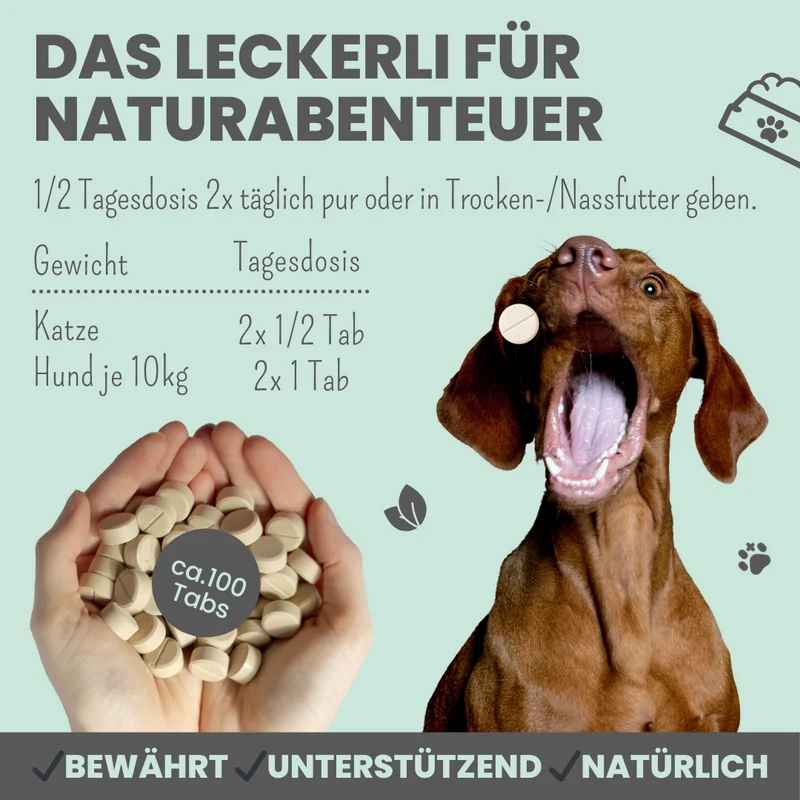 Zistrosen Tabs - 100% natürliches Zistrosen-Leckerli für Wald- & Wiesenspaziergänge