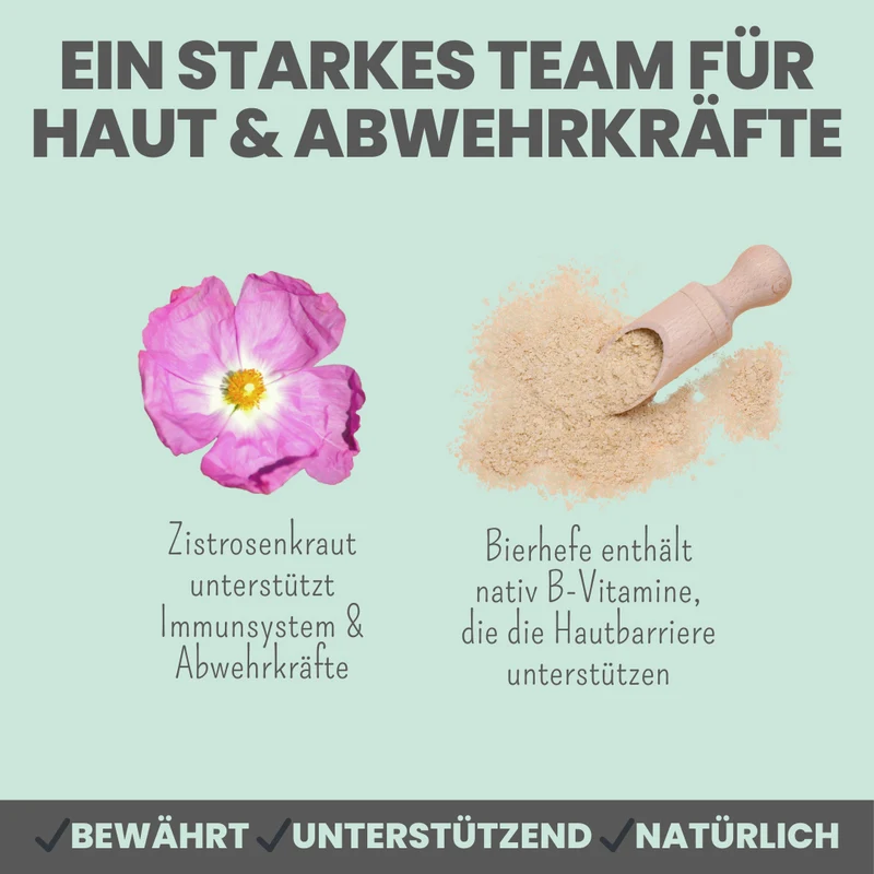 Zistrosen Tabs - 100% natürliches Zistrosen-Leckerli für Wald- & Wiesenspaziergänge