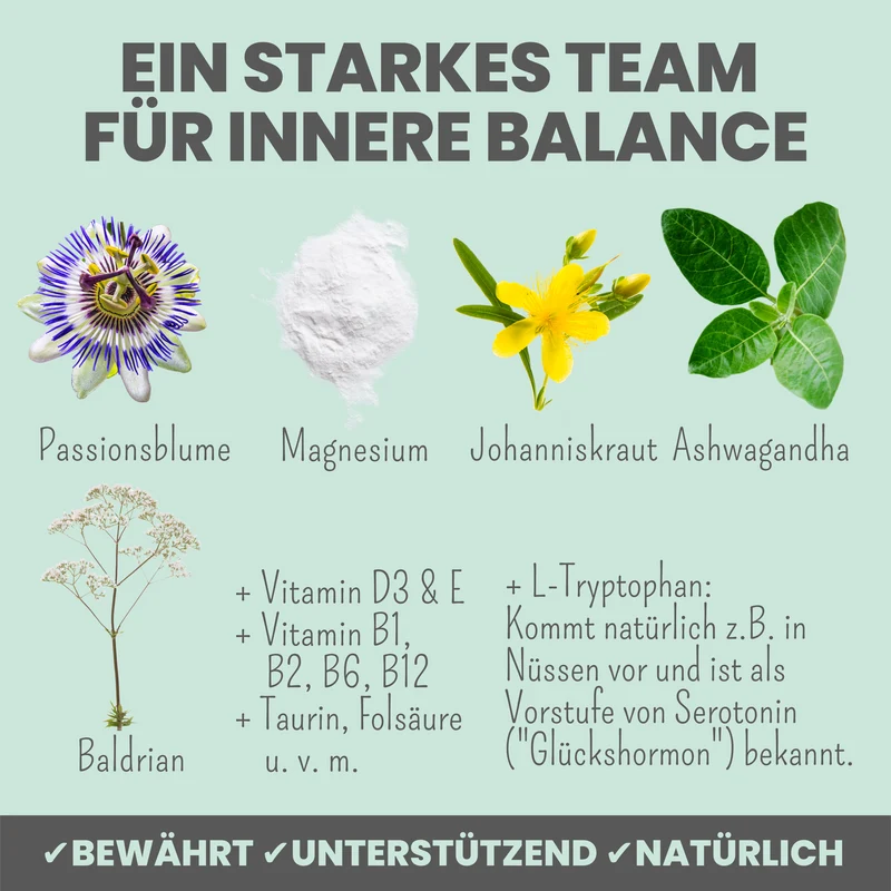 Wohlfühltabs für Hunde bei Stress, Angst, Unruhe und Hyperaktivität