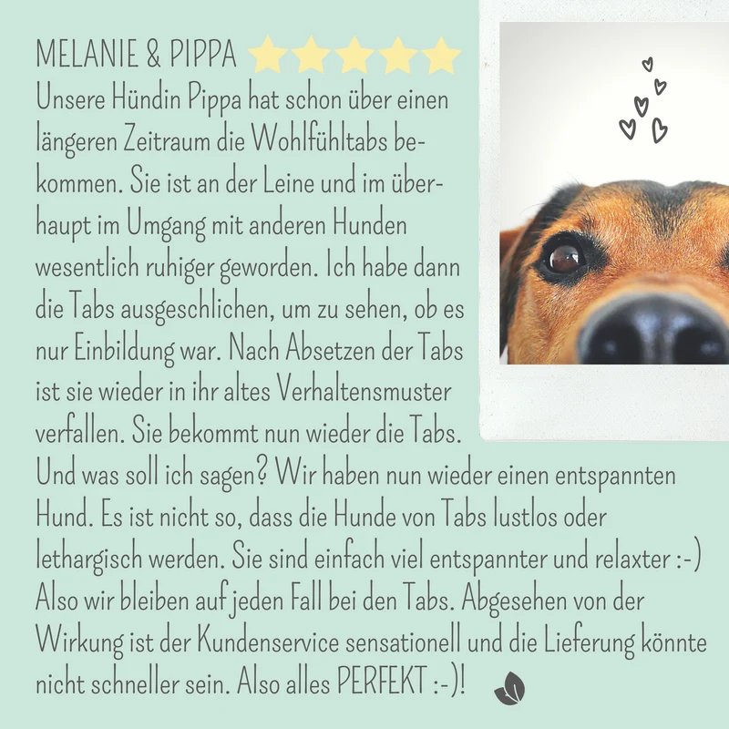 Wohlfühltabs für Hunde bei Stress, Angst, Unruhe und Hyperaktivität