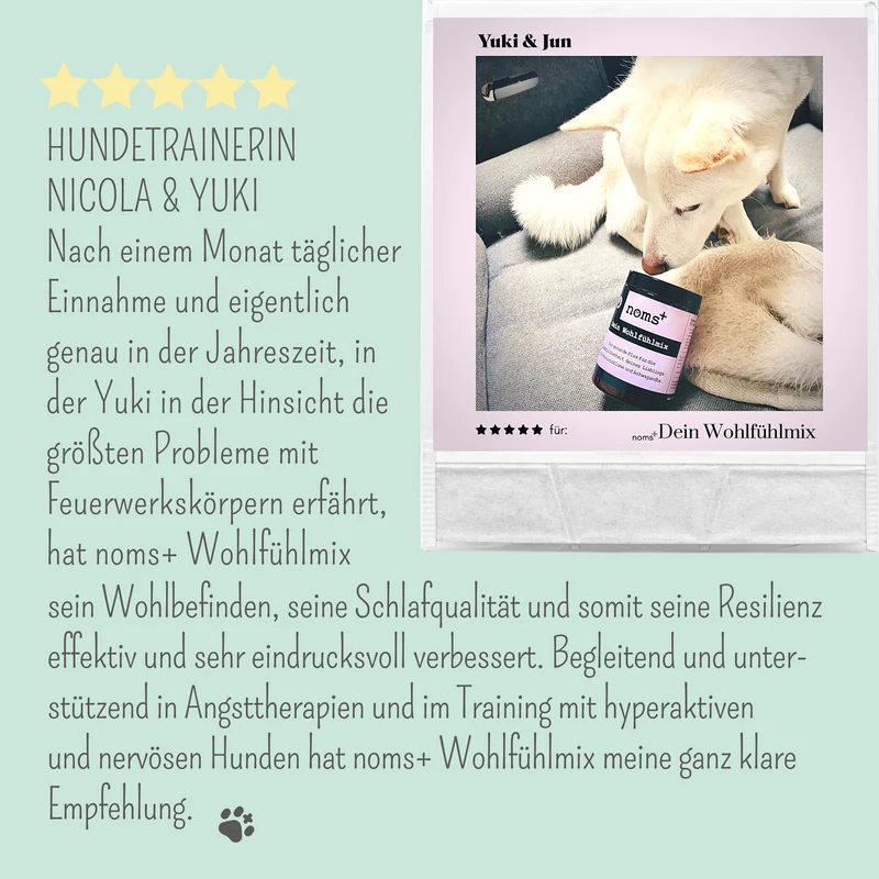 Wohlfühltabs für Hunde bei Stress, Angst, Unruhe und Hyperaktivität