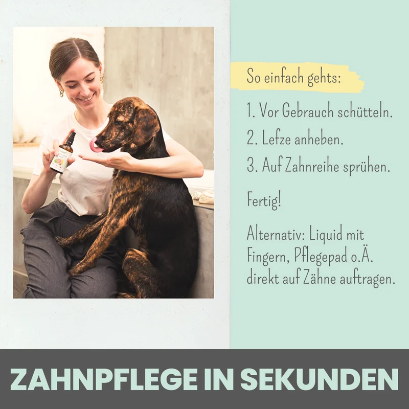 50 ml Dentalspray bei Zahnstein für Hunde und Katzen