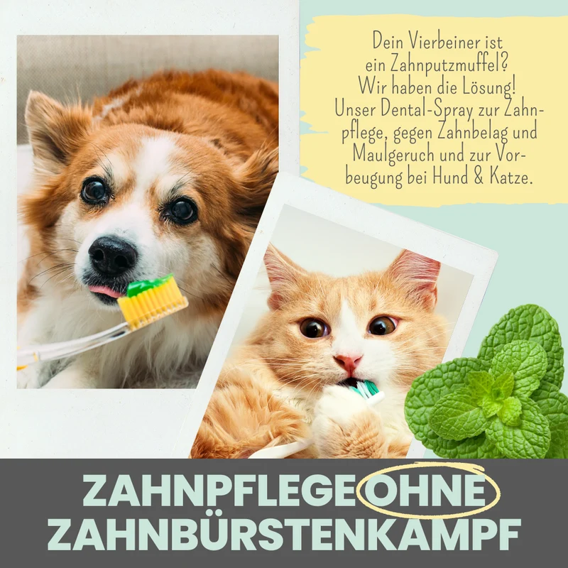 50 ml Dentalspray bei Zahnstein für Hunde und Katzen
