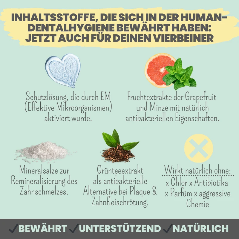 50 ml Dentalspray bei Zahnstein für Hunde und Katzen
