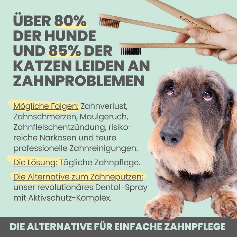 50 ml Dentalspray bei Zahnstein für Hunde und Katzen