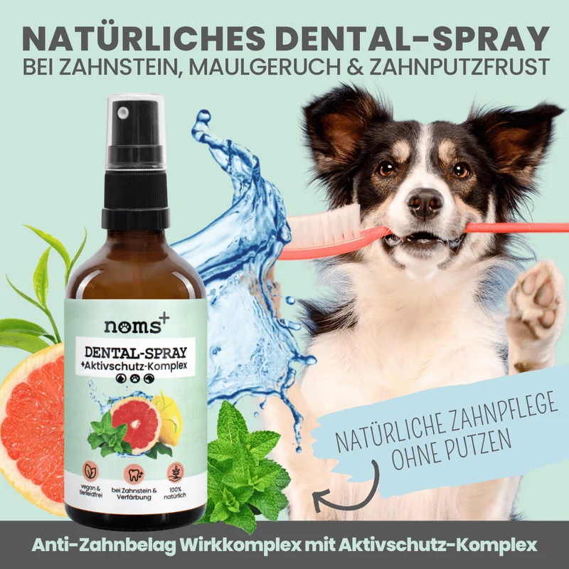 50 ml Dentalspray bei Zahnstein für Hunde und Katzen