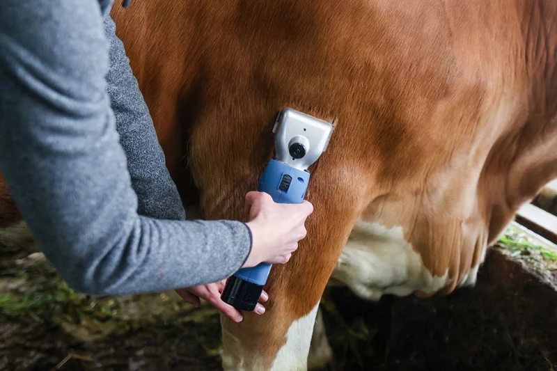 Schermaschine FarmClipper Akku2 für Rinder
