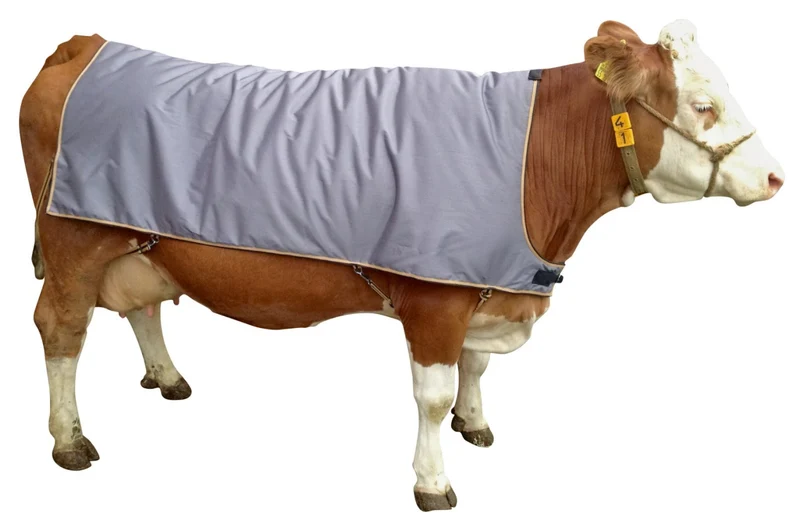 Thermodecke für Kühe