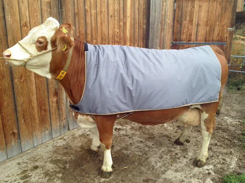 Thermodecke für Kühe