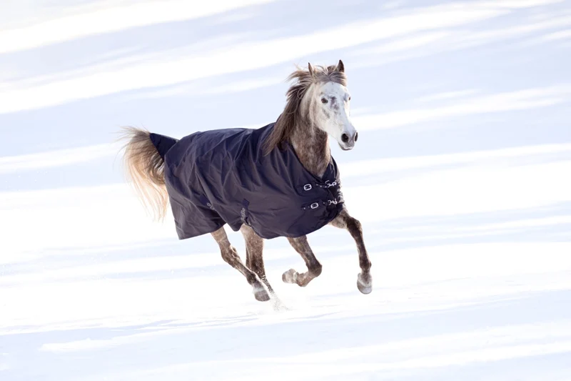 Outdoor-Pferdedecke RugBe HighNeck