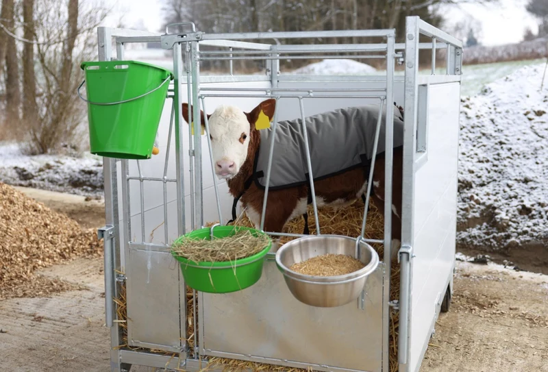 Kälberbox groß – mit oder ohne schwenkbarem Boden