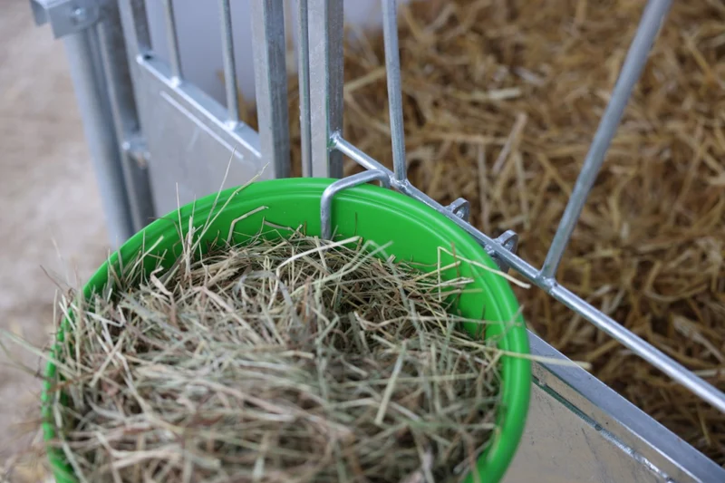 Kälberbox groß – mit oder ohne schwenkbarem Boden