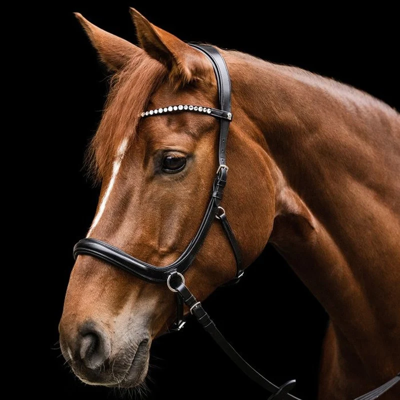 Briglia Senza Morso Sensation Waldhausen X-Line Anatomica Cavallo