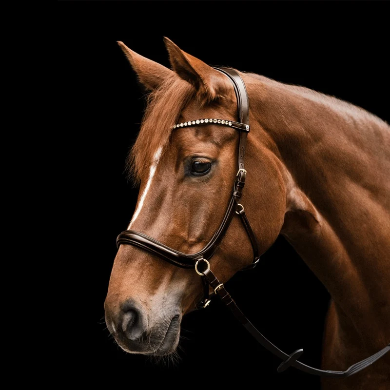 Briglia Senza Morso Sensation Waldhausen X-Line Anatomica Cavallo