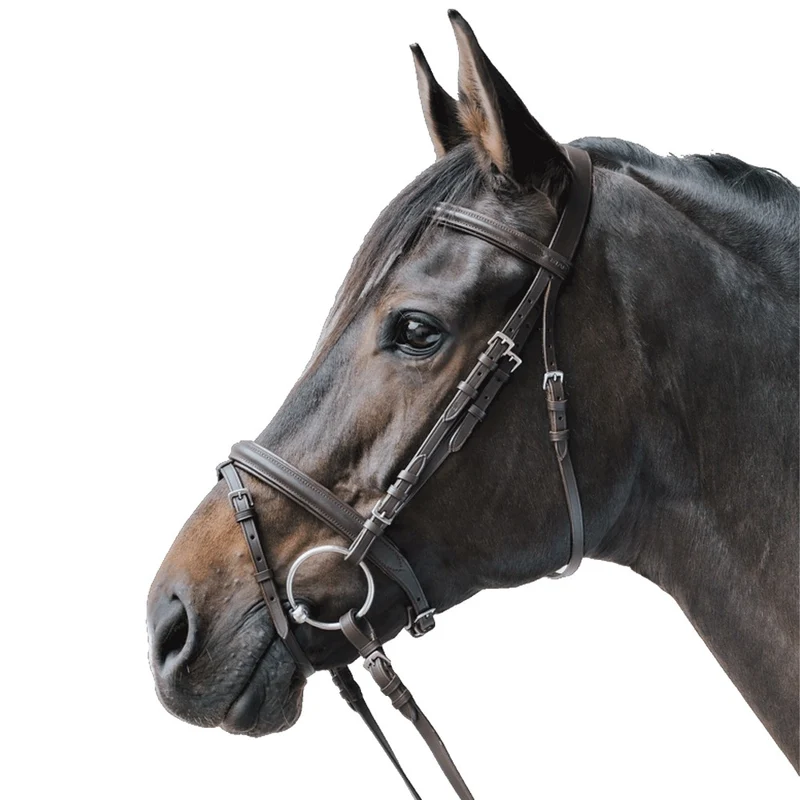 Briglia STAR Lifestyle in Pelle Economica Comfort Cavallo