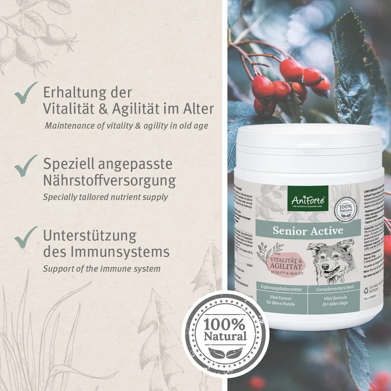 AniForte® Senior Active 250 g