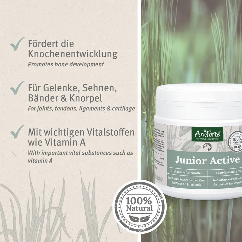AniForte® Junior Active Pulver 250 g