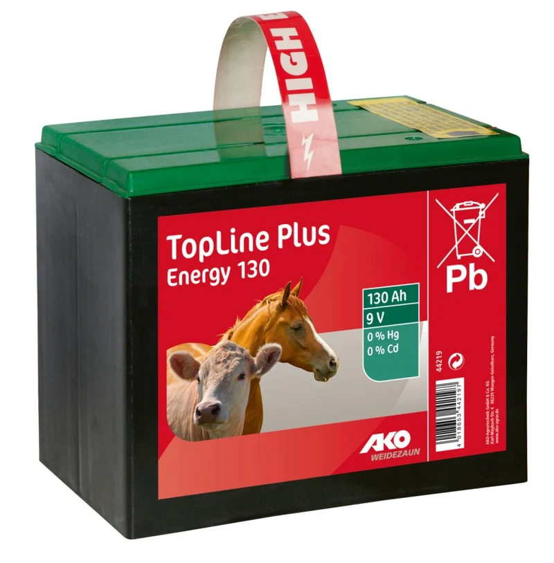 Zink-Kohle Trockenbatterie