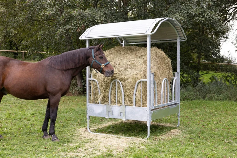 Viereckraufe mit Palisadenfressgitter Hobby 8 Fressplätze