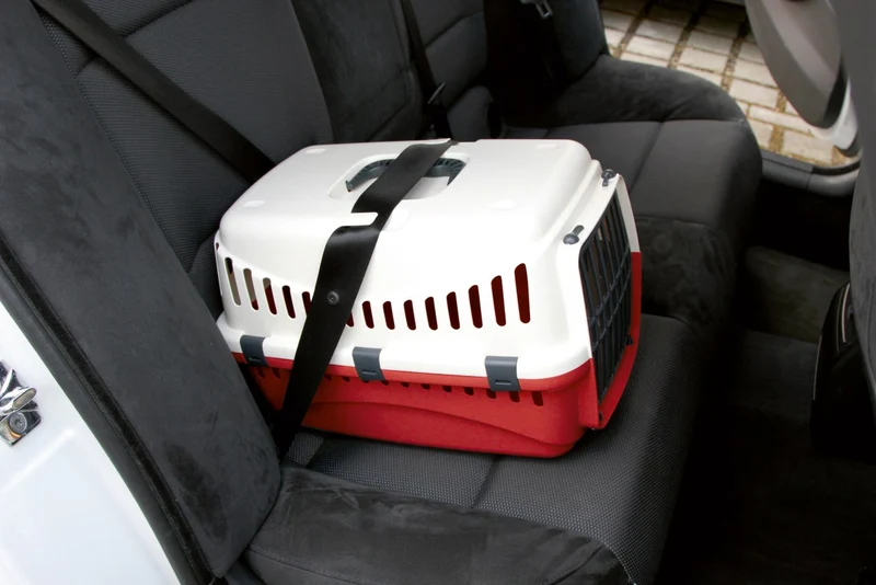 Transportbox Expedion versch. Farben/Varianten