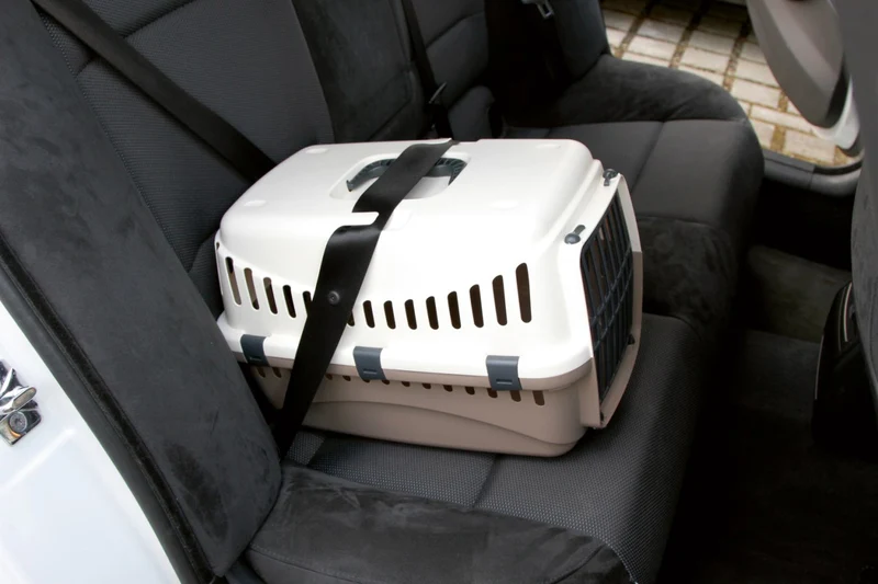 Transportbox Expedion versch. Farben/Varianten