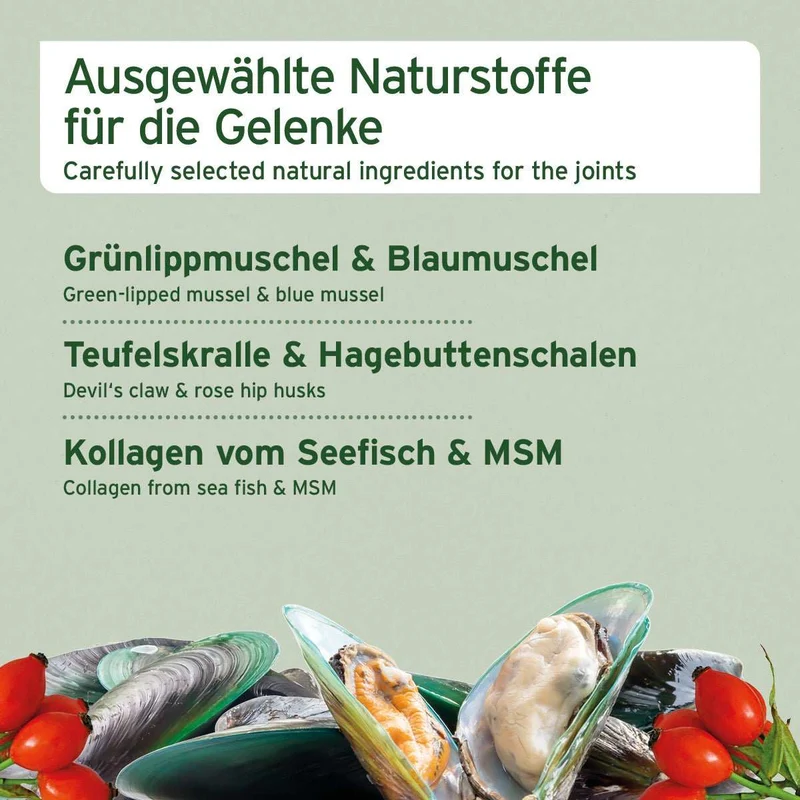 Gelenk Snack 50g