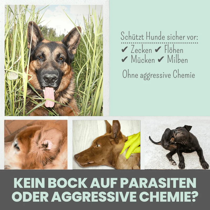 noms+ Zpot-on für Hunde gegen Zecken, Flöhe, Milben & Mücken