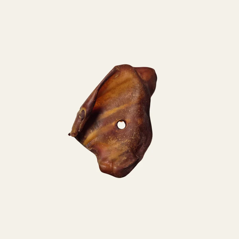 Schweineohr – der klassische Kausnack für Hunde