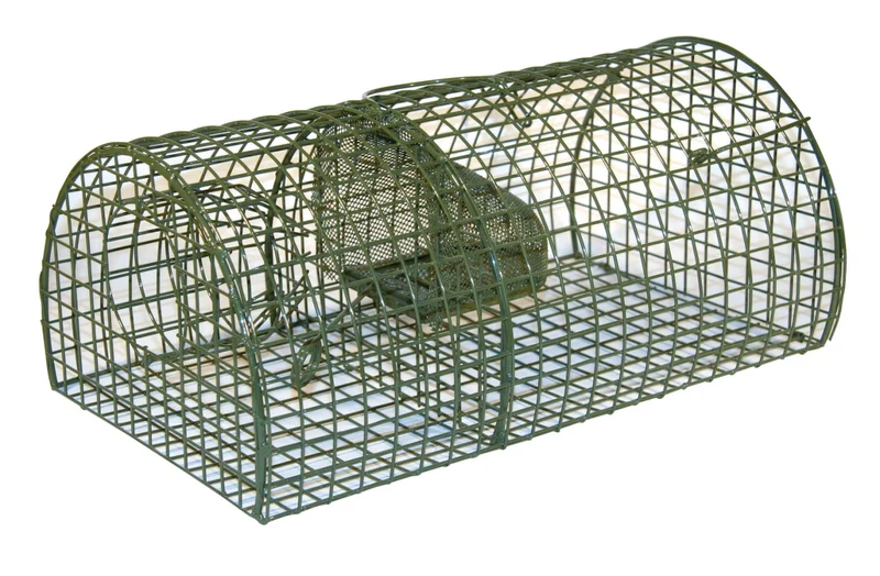 Ratten-Massenfänger Alive MultiRat