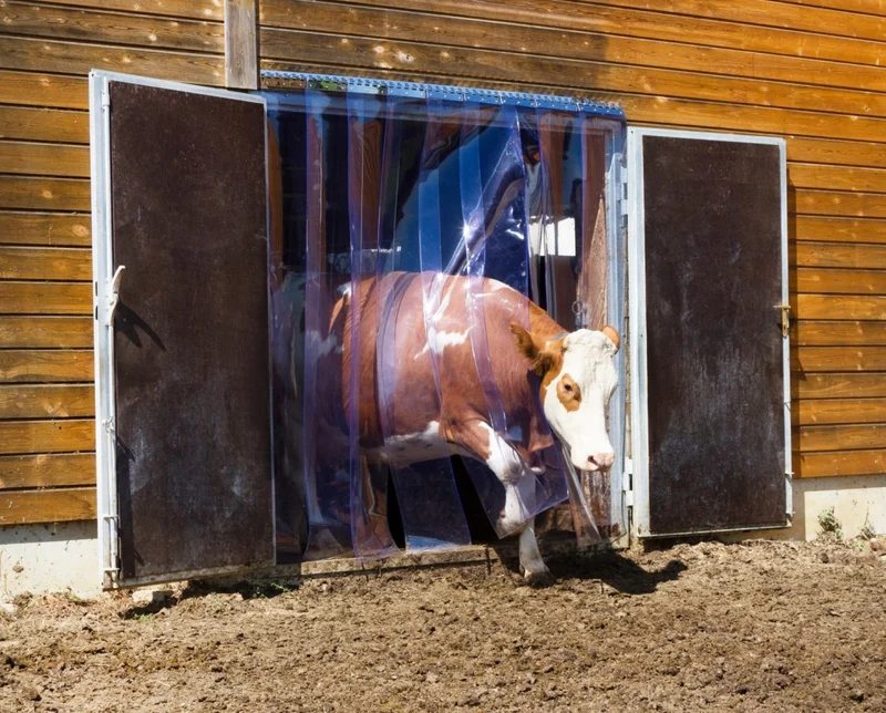 Streifenvorhang/Pendeltürfolie PVC - meterweise oder 25m Rolle