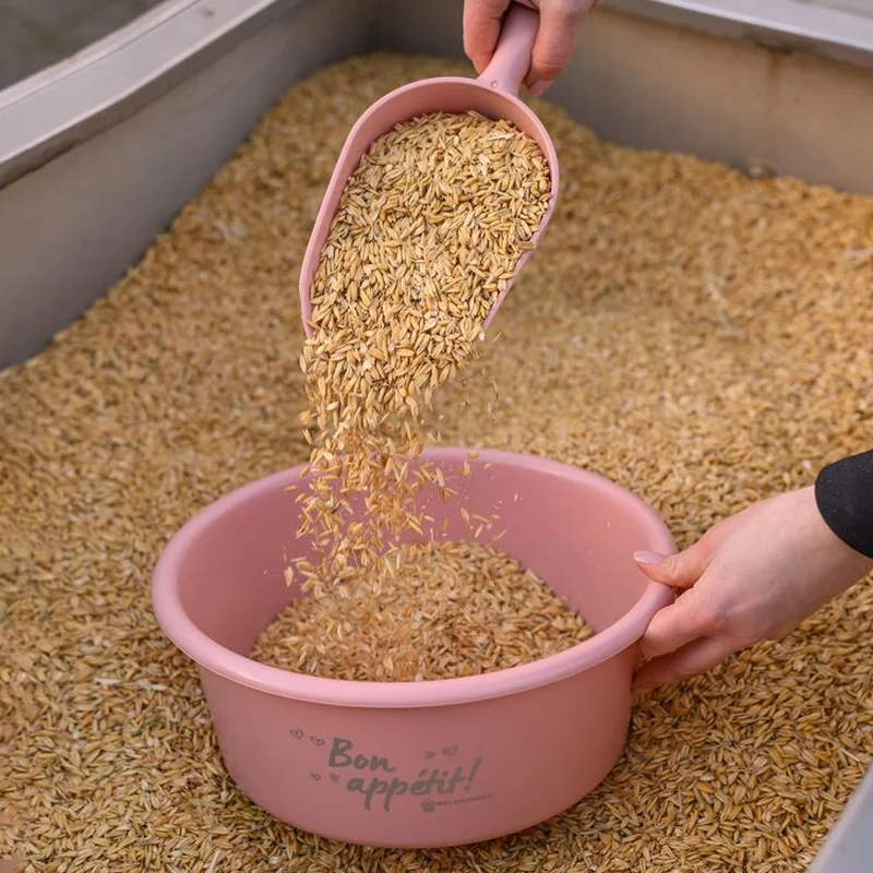 Paletta Dosatrice Per Mangime In Plastica Alimentare 0,5lt