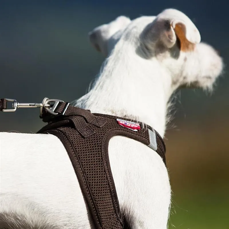 Curli Vest Harness - Brustgeschirr für kleine und mittlere Hunde