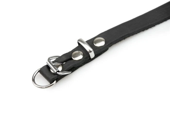Kehlkopfschonendes Lederhalsband Karlie Rondo