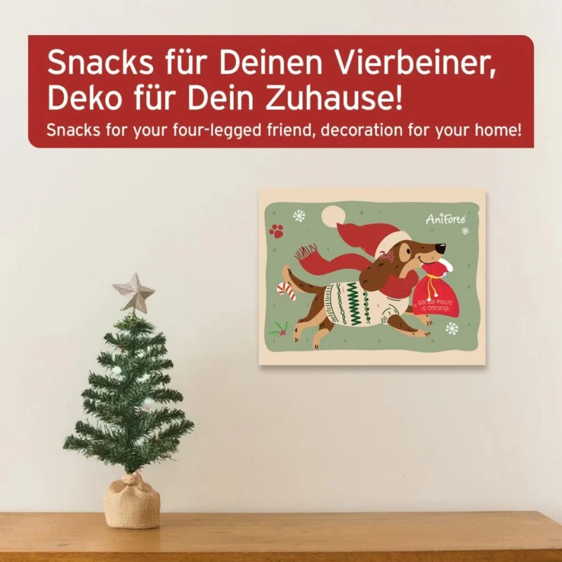 AniForte Hunde Adventskalender 2025 - 24 Premium Leckerlis Getreidefrei & Luftgetrocknet für Natürlichen Genuss