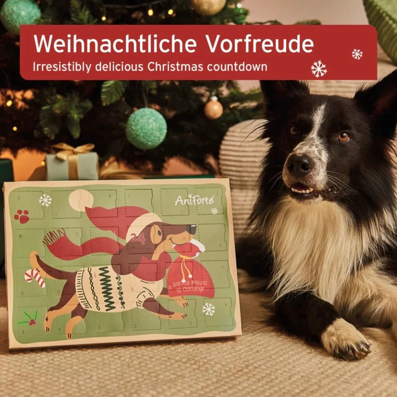 AniForte Hunde Adventskalender 2025 - 24 Premium Leckerlis Getreidefrei & Luftgetrocknet für Natürlichen Genuss