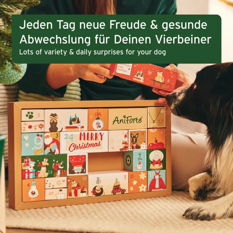 AniForte Premium Adventskalender für Hunde - 24 hochwertige Überraschungen für gesunde Vorfreude