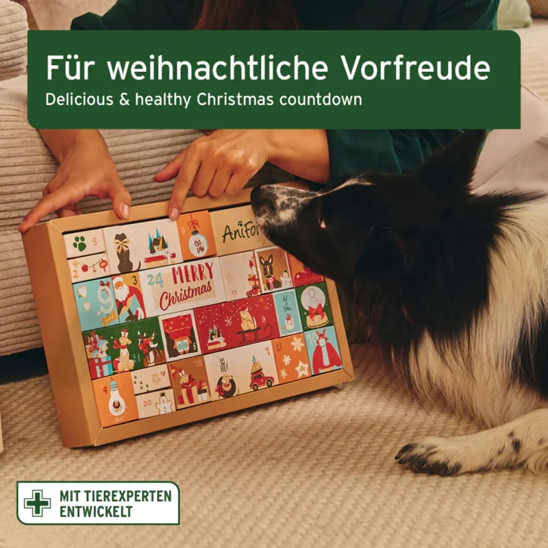 AniForte Premium Adventskalender für Hunde - 24 hochwertige Überraschungen für gesunde Vorfreude